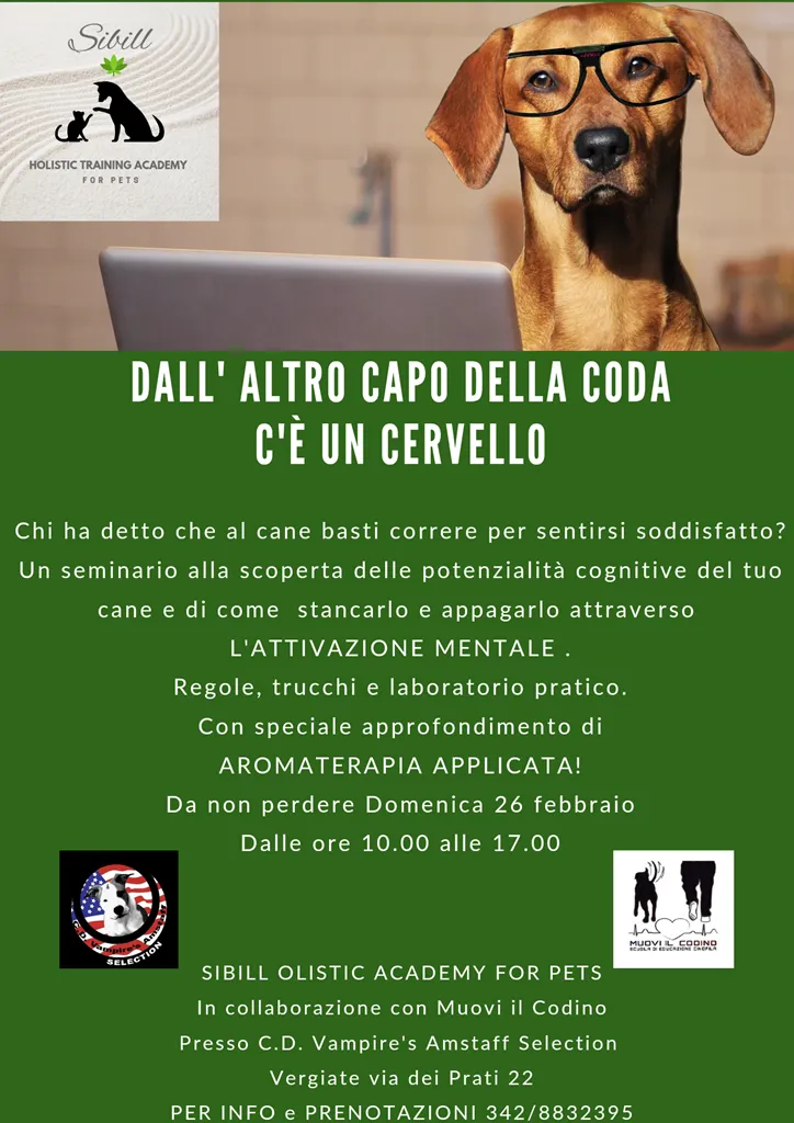 Dal altro capo della coda c'è il cervello