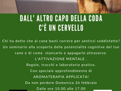 Dal altro capo della coda c'è il cervello