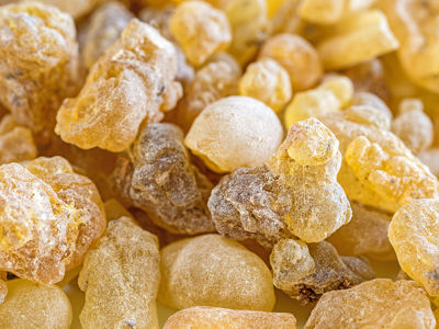 Boswellia serrata, una Pianta Benefica per la Salute