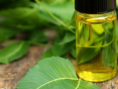 Olio Essenziale di Neem come Antiparassitario per gli Animali Domestici
