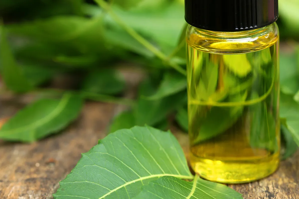 Olio Essenziale di Neem come Antiparassitario per gli Animali Domestici