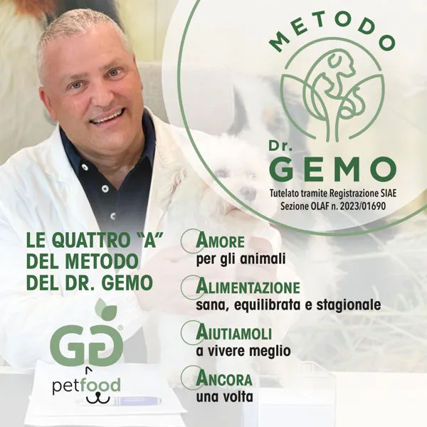 Gianluca Gemo